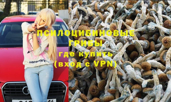 стафф Карталы